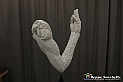 VBS_8357 - Artissima 2022 - Ventinovesima Edizione